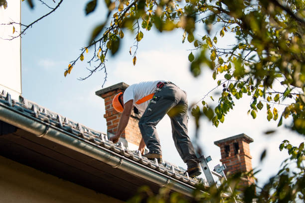 Roof Gutter Cleaning in Cabool, MO